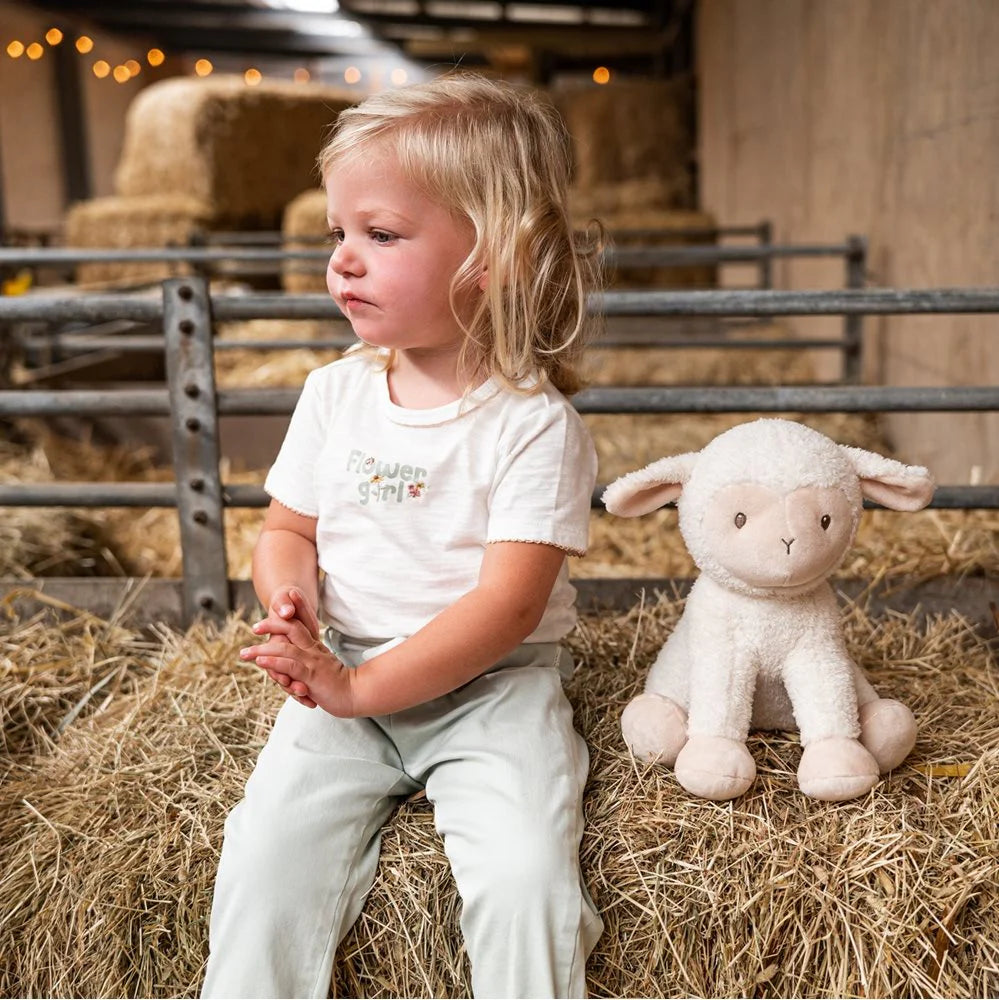 Little Farm Cuddle Plush Sheep 25cm