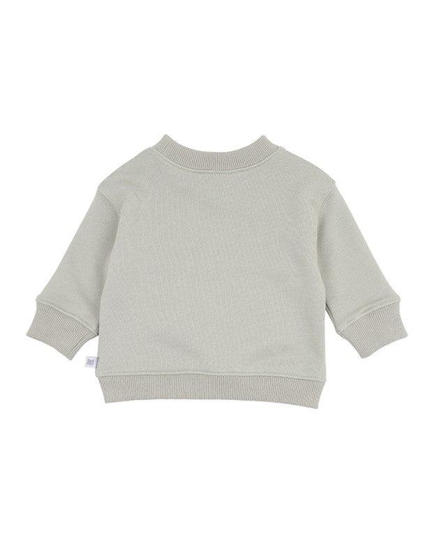 Isaac 3D Dinosaur Sweatshirt - Lt Sage