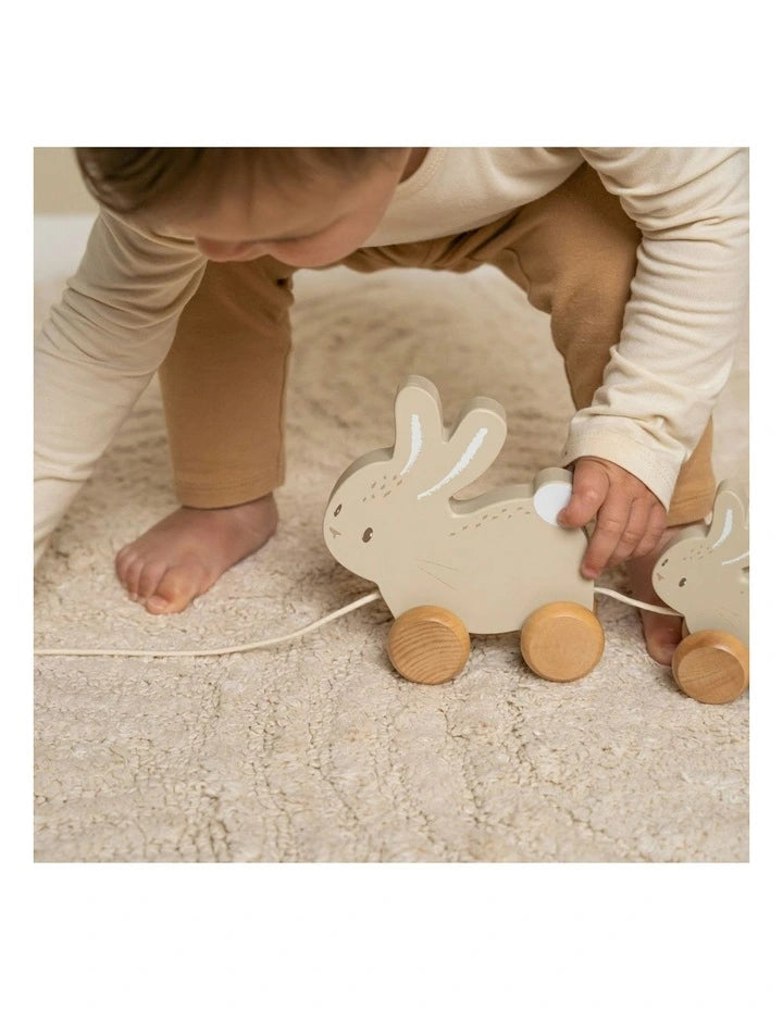 Baby Bunny Pull Along Bunnies