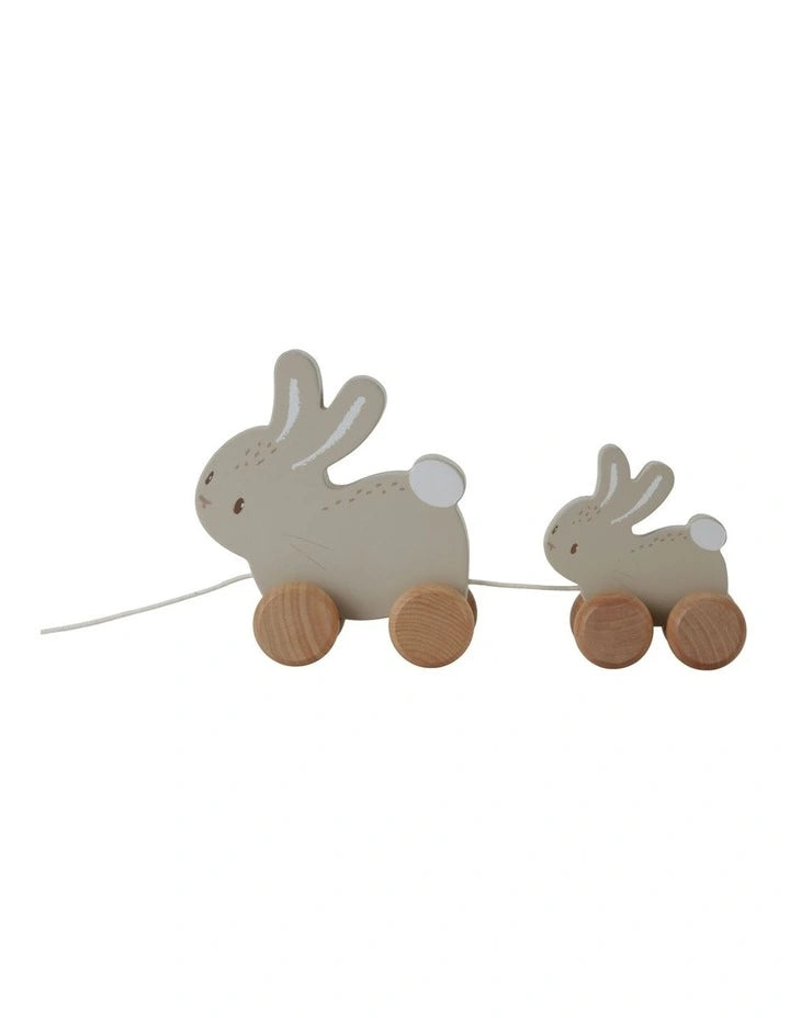 Baby Bunny Pull Along Bunnies