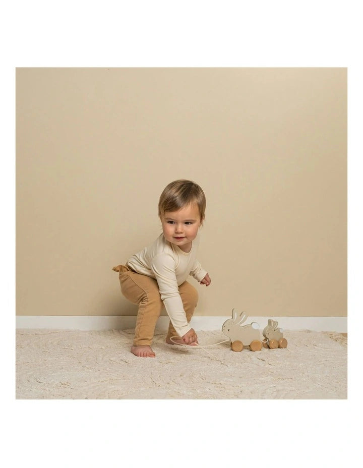 Baby Bunny Pull Along Bunnies