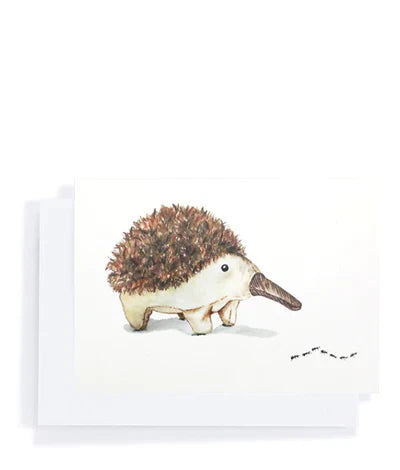 Card - Spike The Echidna