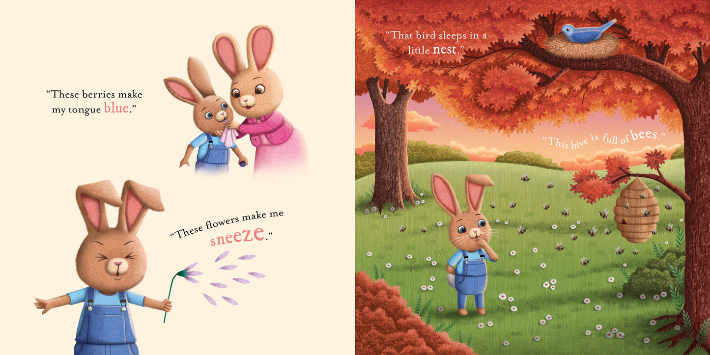 Padded Board Book - Do You Know How Much I Love You?