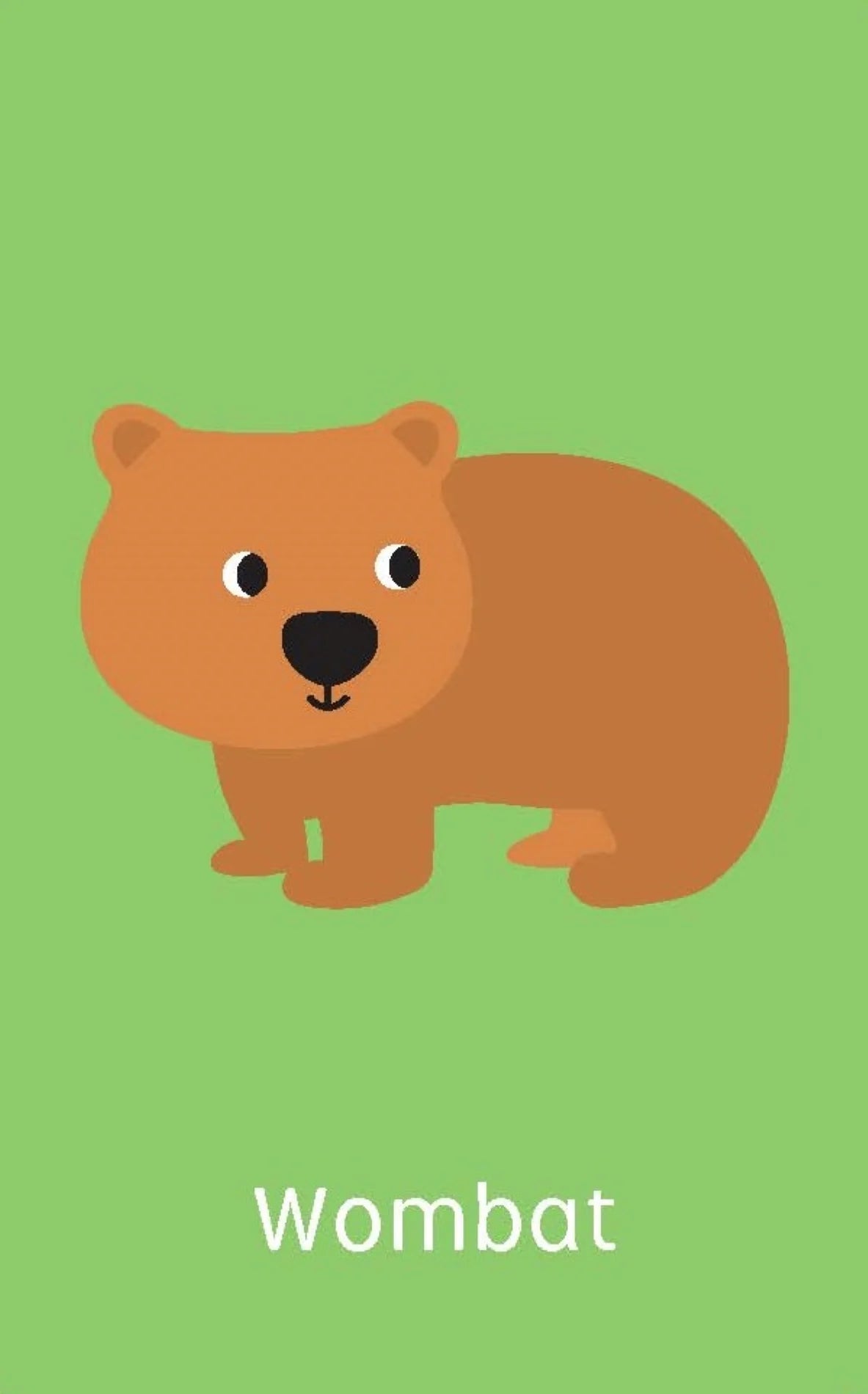 Snap Cards - Australian Animals