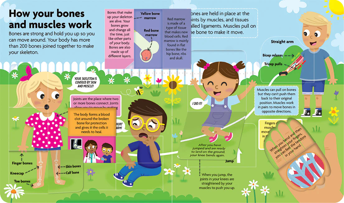 FunFacts - Human Body