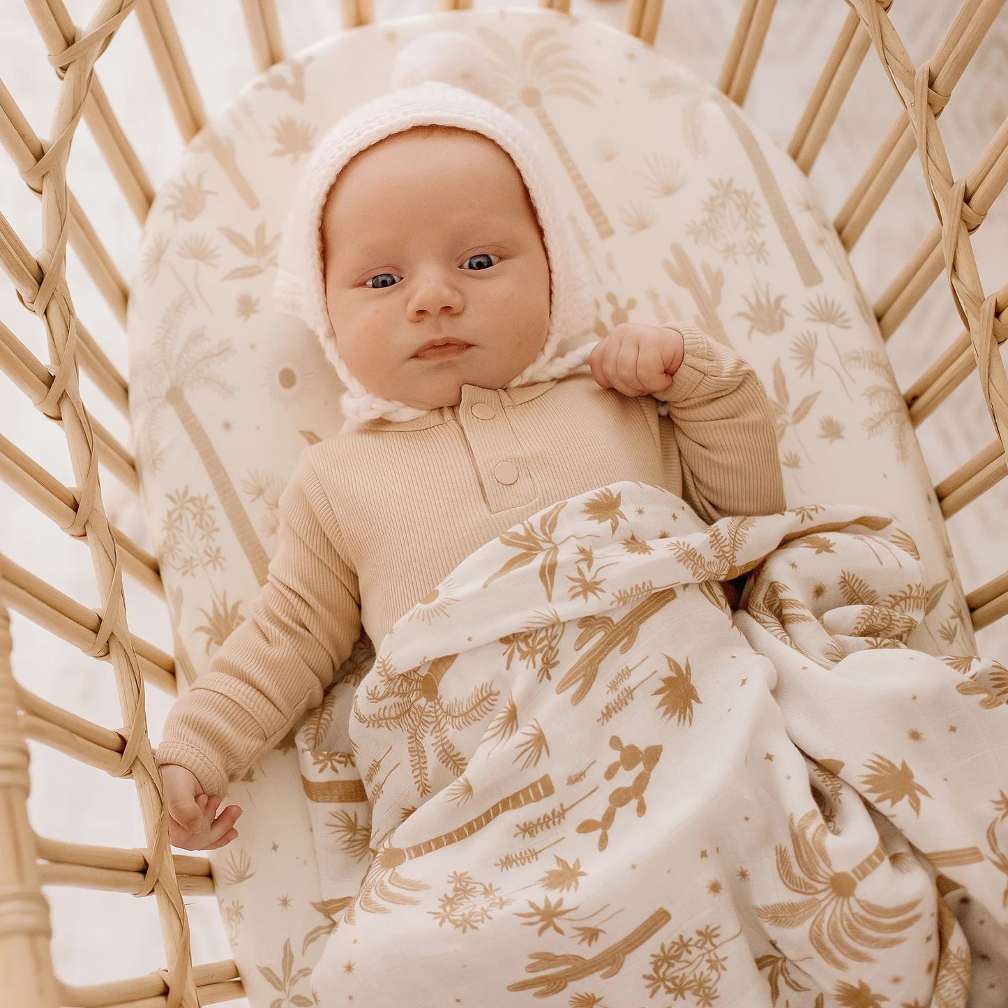 Desert Palm Organic Fitted Bassinet Sheet/Change Pad Cover