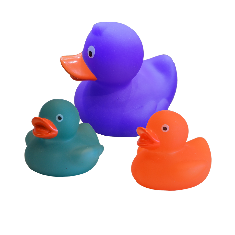 Colour Changing Ducks Set