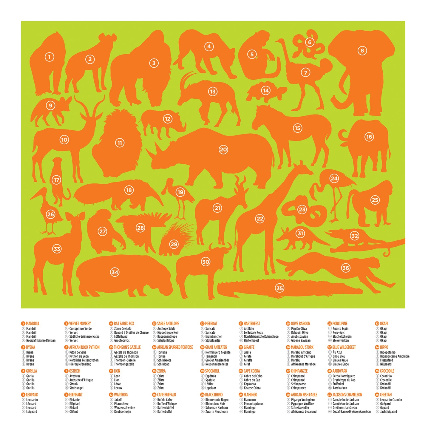 36 Animal Puzzle 100 Pce - Wild Animals