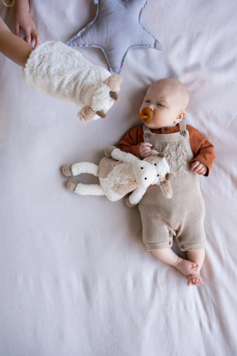 Clover The Cow Hoochy Coochie