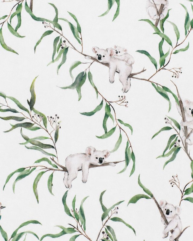 Taylor Koala Button Front Bodysuit