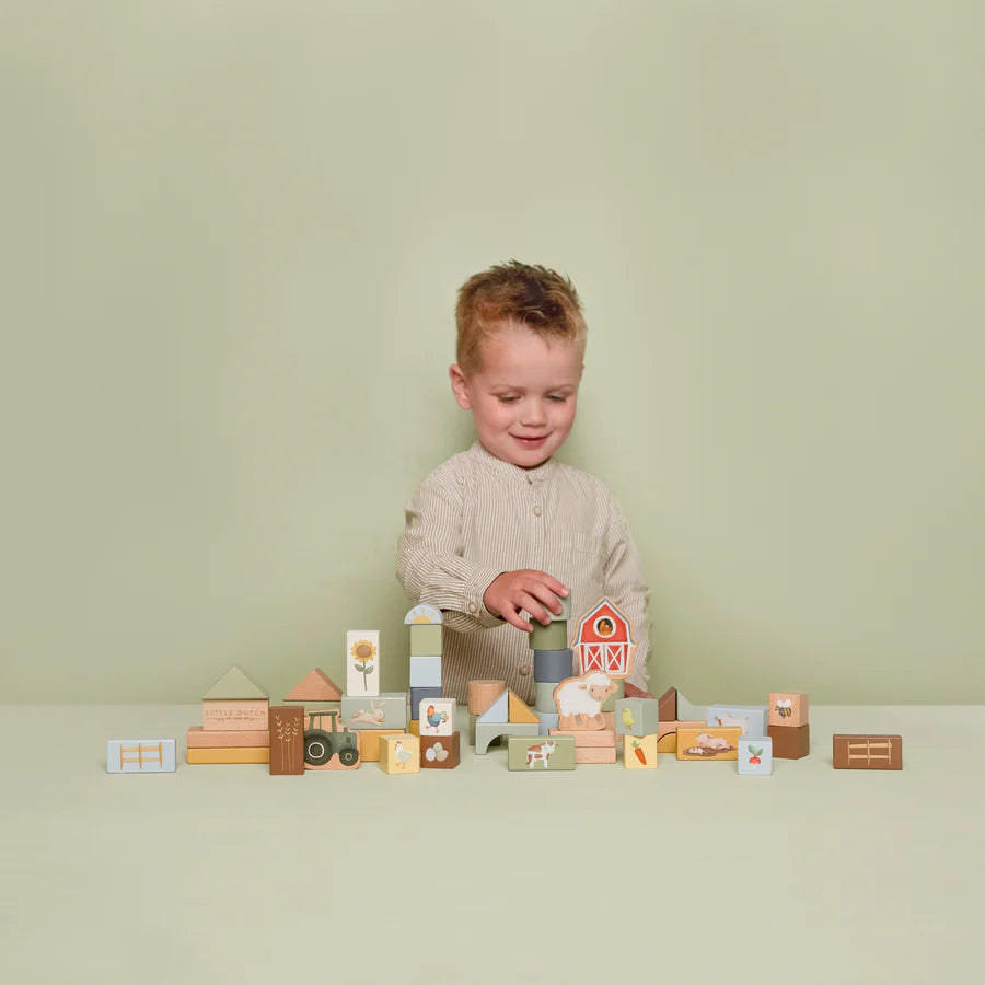 Little Farm Building Blocks - 50Pce