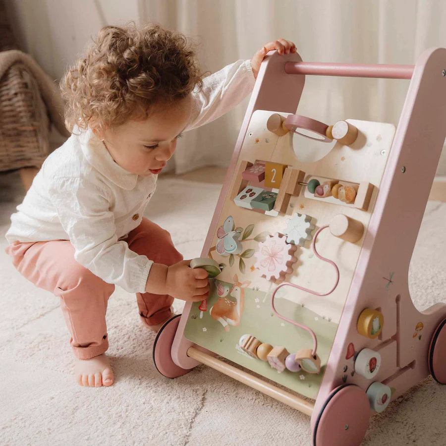 Fairy Garden Multi Activity Walker