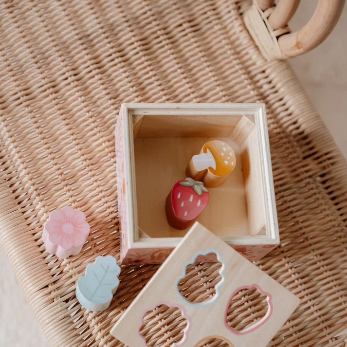 Fairy Garden Shape Sorter