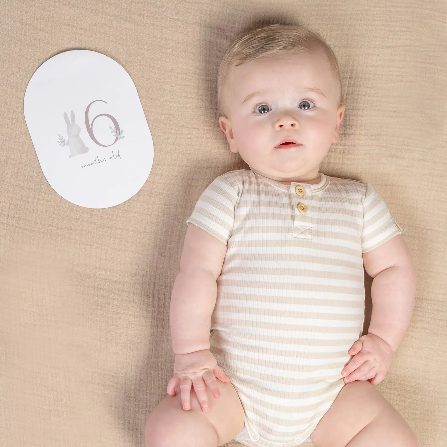 Baby Bunny Milestone Card Set
