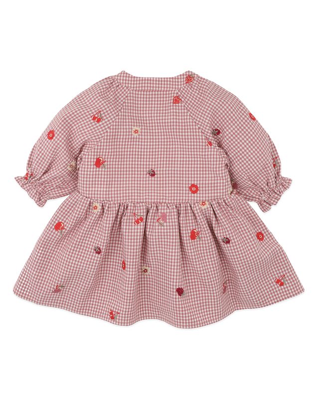 Embroidered Bloom Dress - Dusty Pink Check