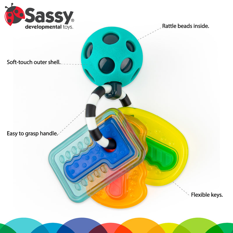 Sassy Baby - Drive N Drool Keys
