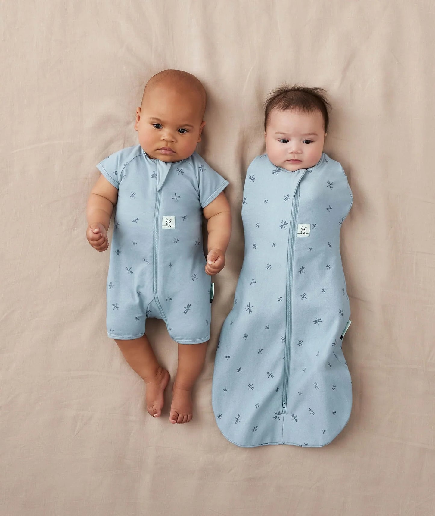 Cocoon Swaddle Bag 1.0 TOG - Dragonflies