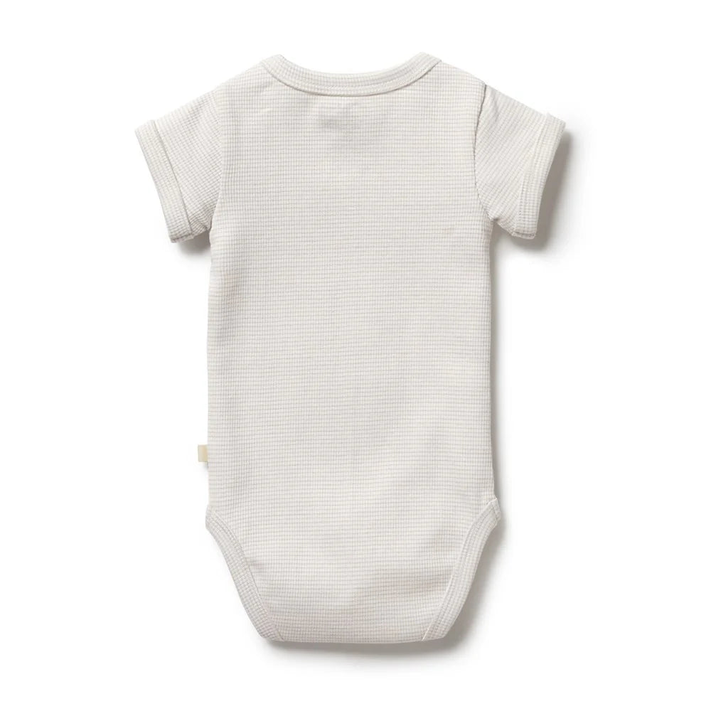 Organic Stripe Rib S/S Bodysuit - Clay