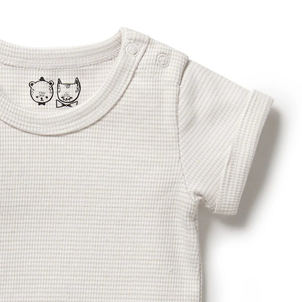 Organic Stripe Rib S/S Bodysuit - Clay