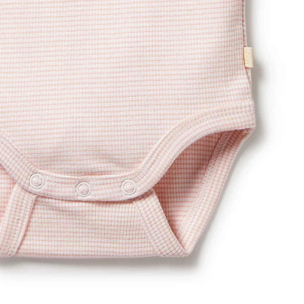 Organic Stripe Rib S/S Bodysuit - Cantalope