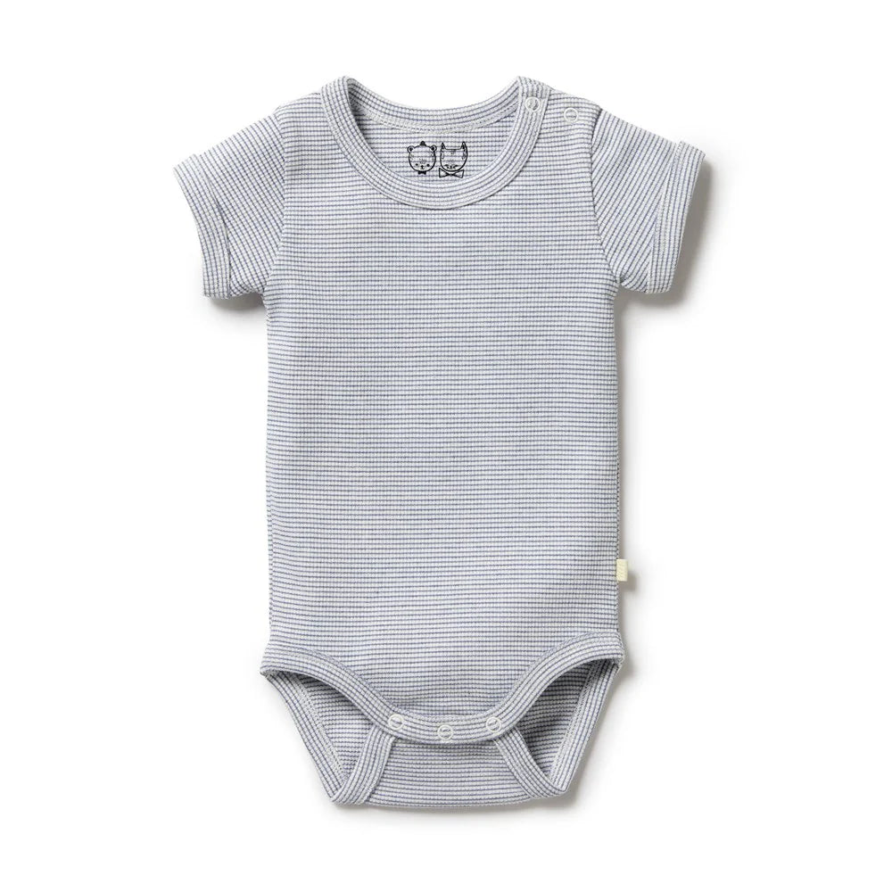 Organic Stripe Rib S/S Bodysuit - Rain Drop