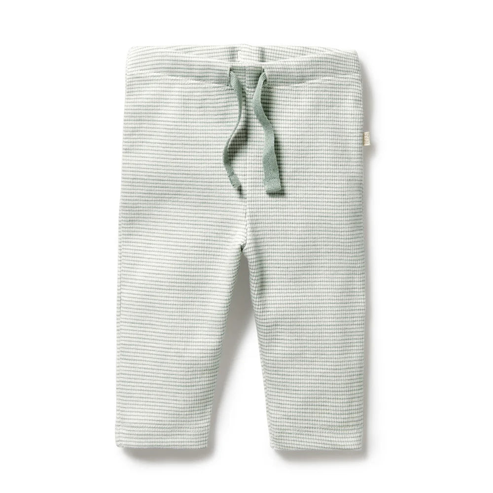 Organic Stripe Rib Legging - Fern