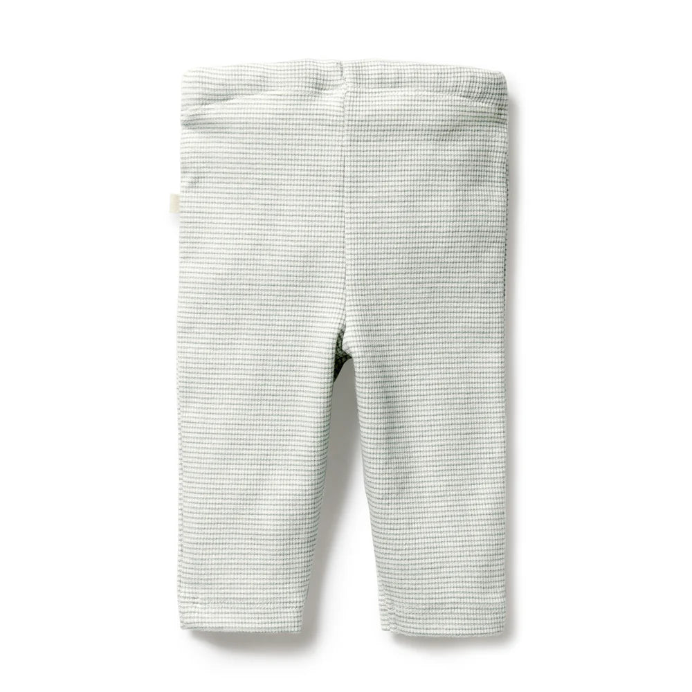Organic Stripe Rib Legging - Fern