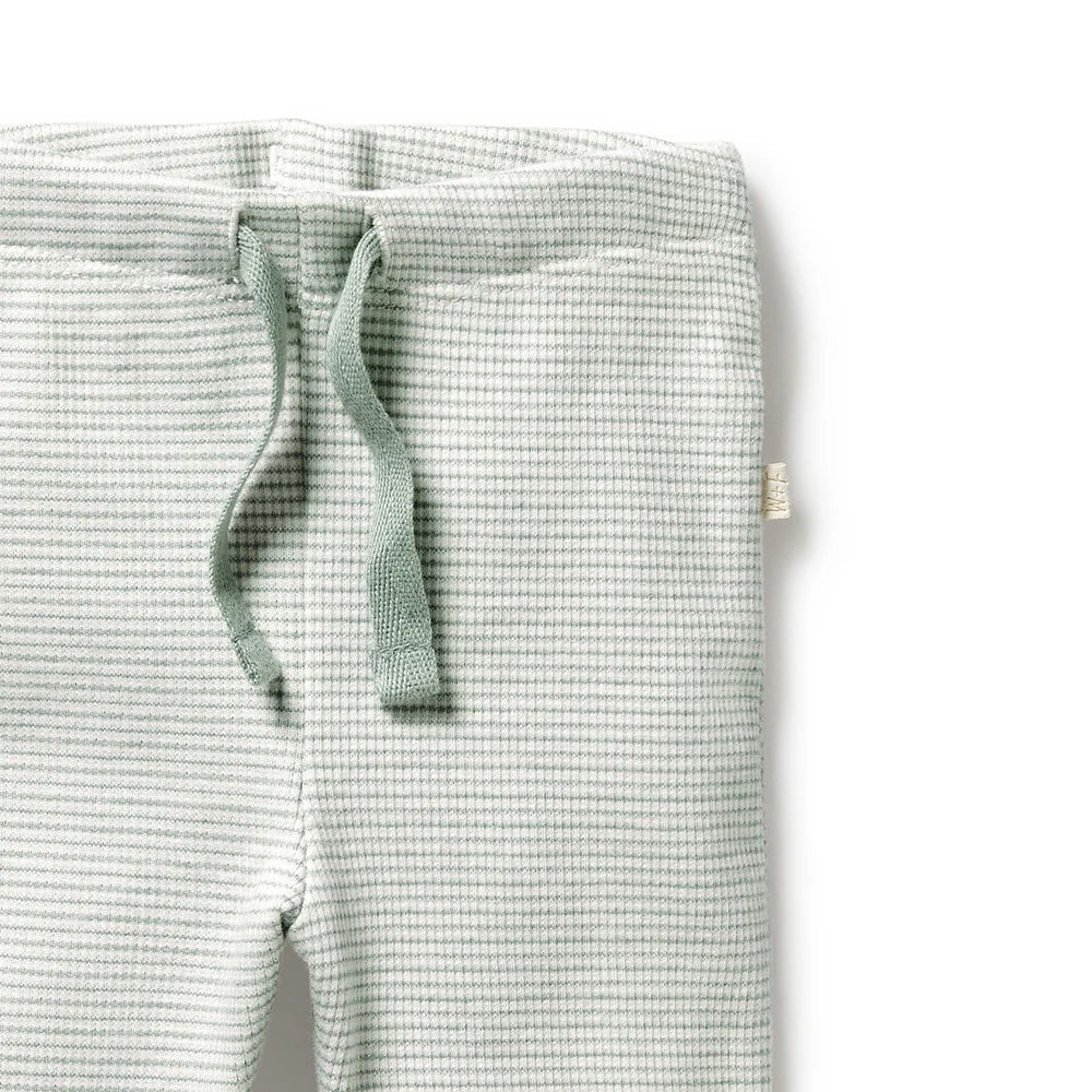 Organic Stripe Rib Legging - Fern