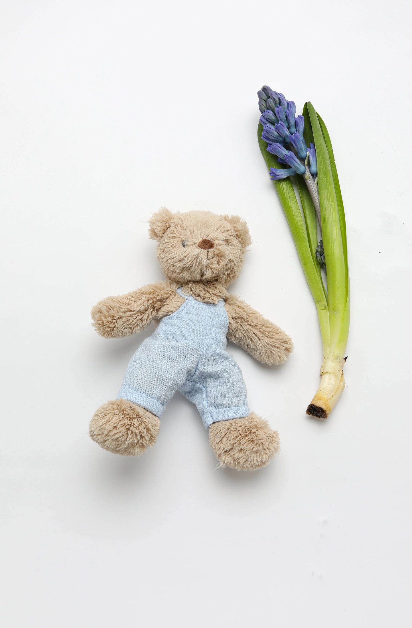 Baby Honey Bear - Blue