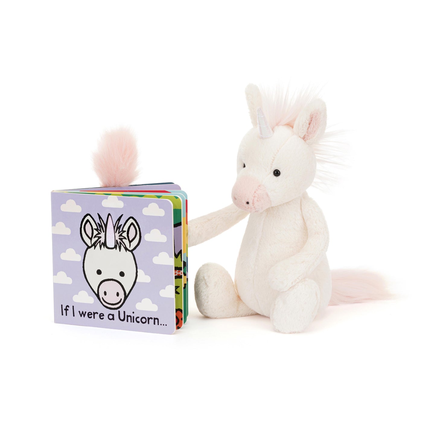Book - If I Were A Unicorn
