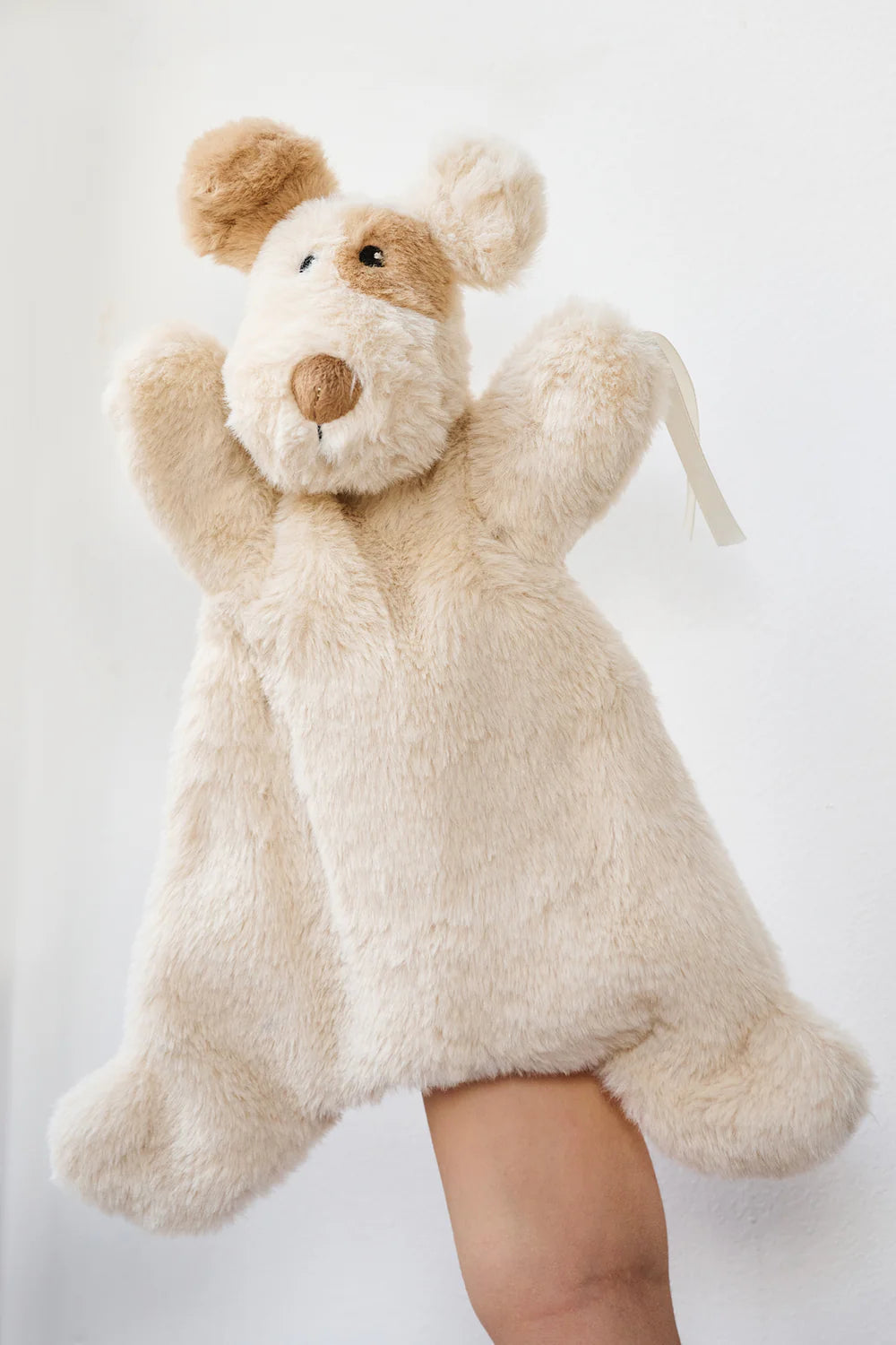 Buddy The Dog Hoochy Coochie