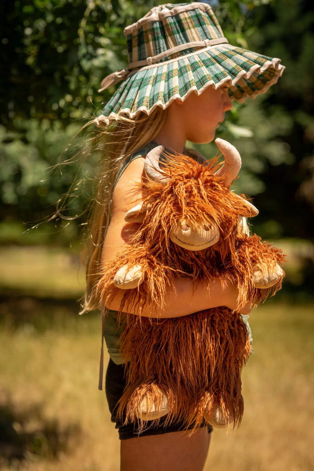 Henry The Highland Cow