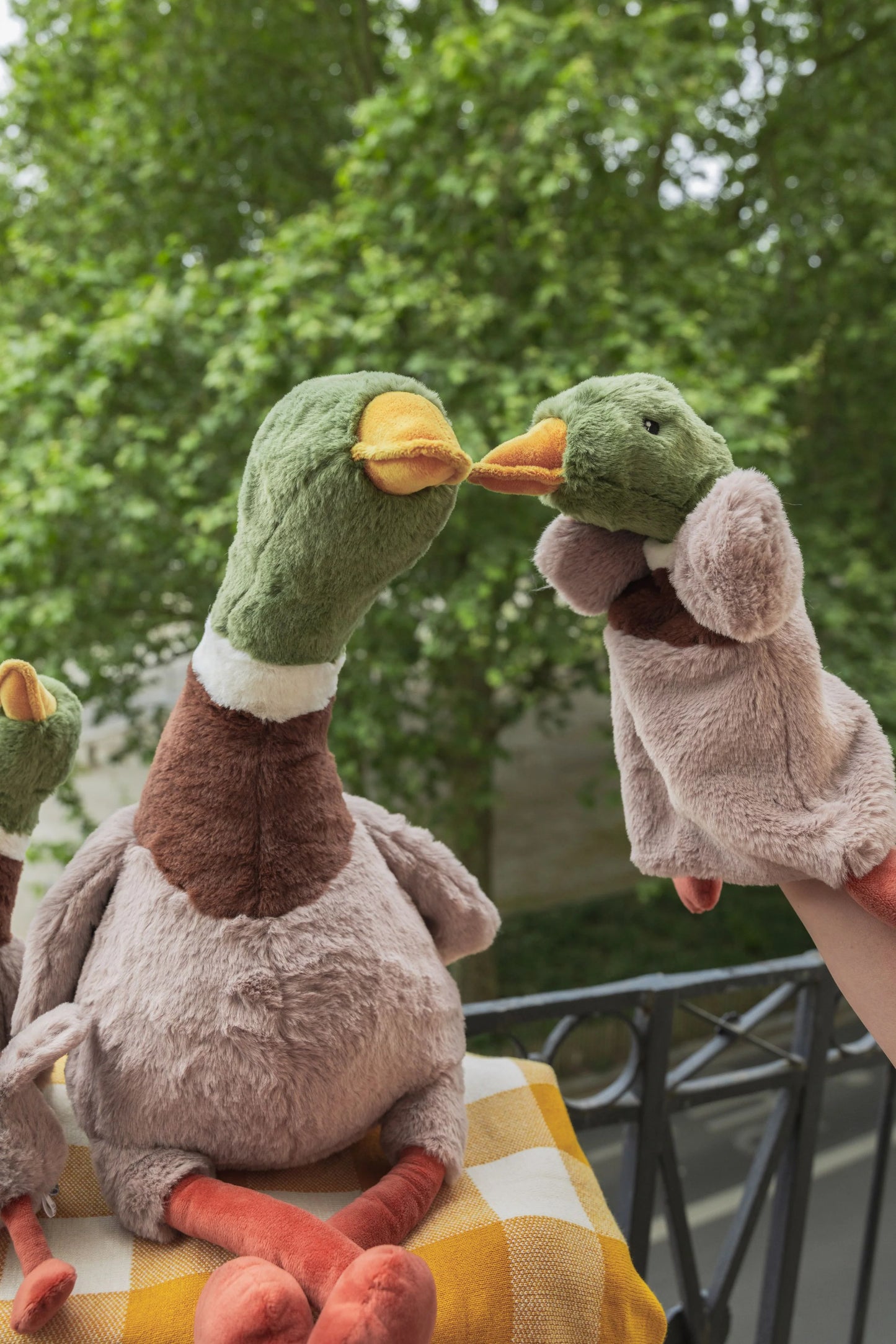 Hugo the Mallard Duck Hoochy Coochie