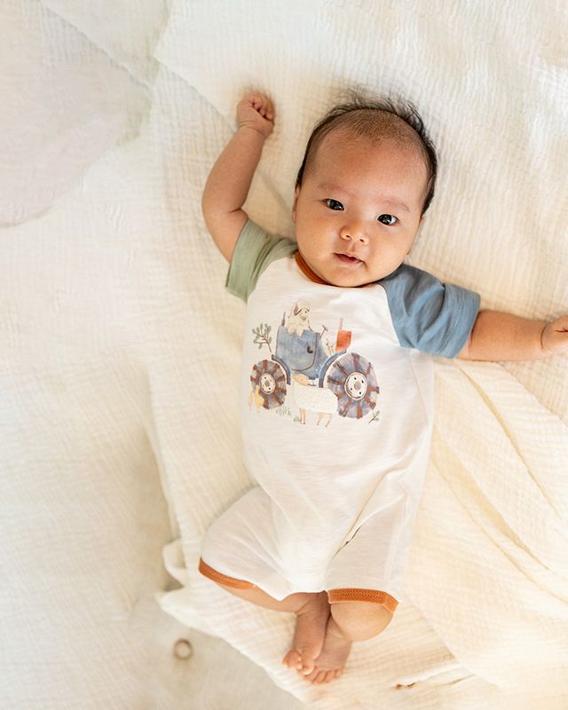 Clayton Farm Scene S/S Romper - Multi