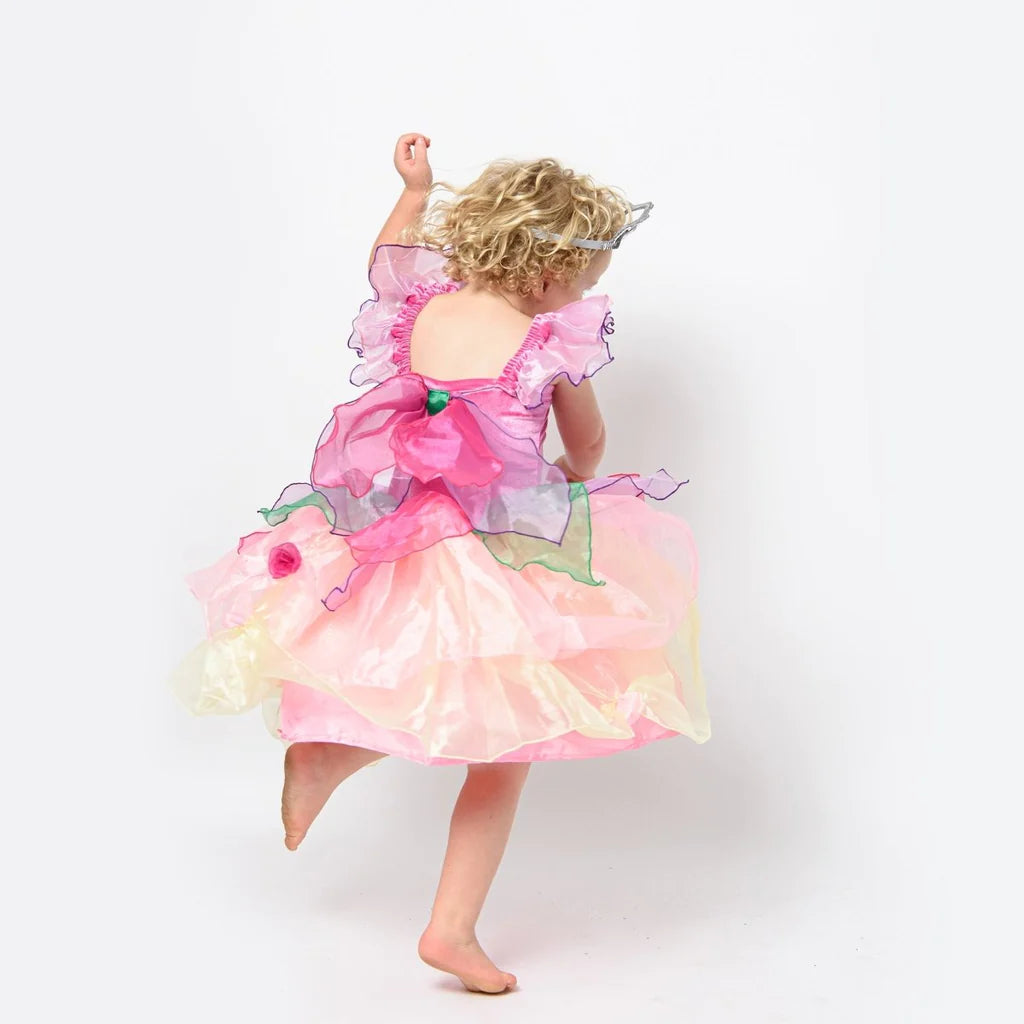 Paris Daisy Fairy Dress - Pink
