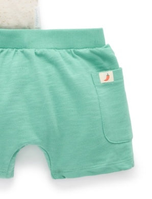 Bocadillo 2Pc Set - Iguana