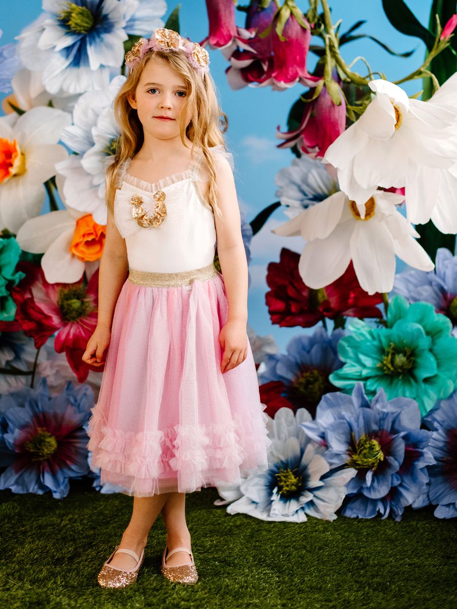 Ombre Tutu Skirt