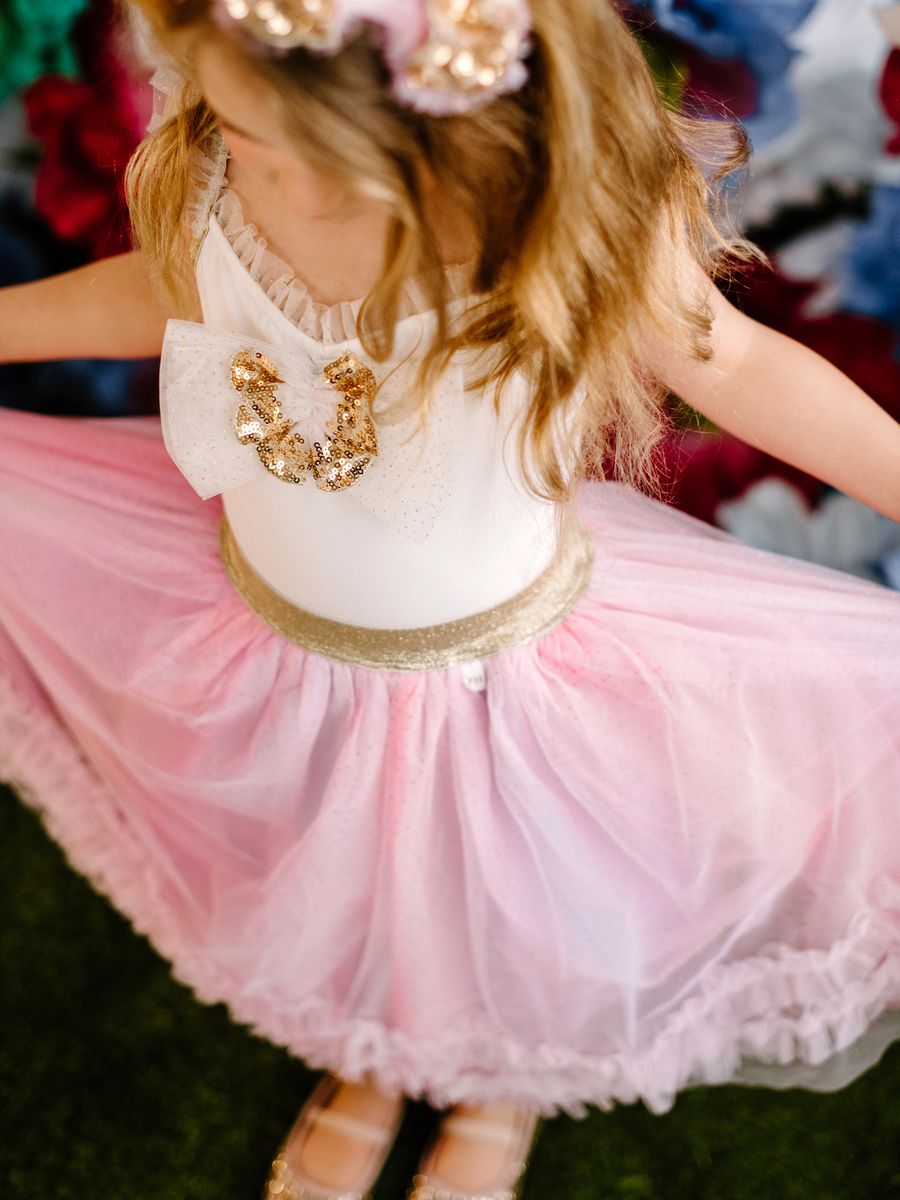 Ombre Tutu Skirt