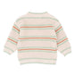 Stripe Knitted Jumper - Wild Side Stripe
