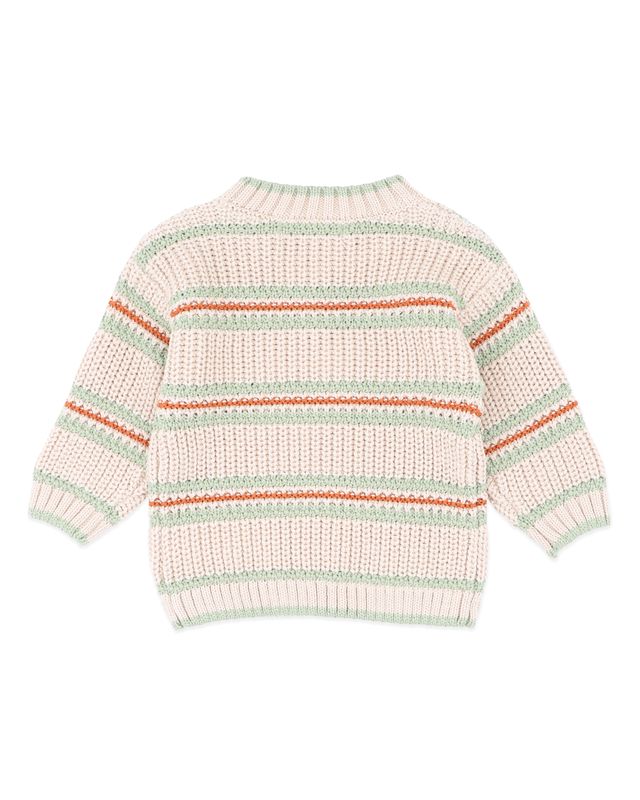 Stripe Knitted Jumper - Wild Side Stripe