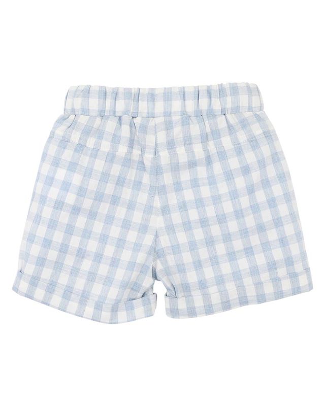 Axel Check Shorts - Sky Check