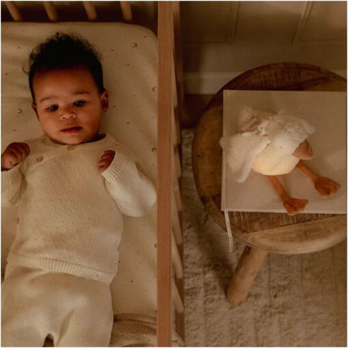 Newborn Naturals Cuddle Goose Light & Sound