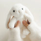 Little Penelope - Marshmallow