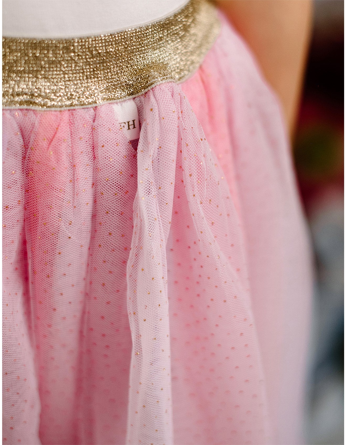 Ombre Tutu Skirt