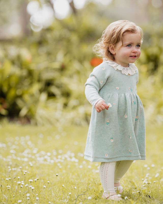 Fern  Emb. Knitted Dress - Sage