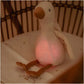 Newborn Naturals Cuddle Goose Light & Sound