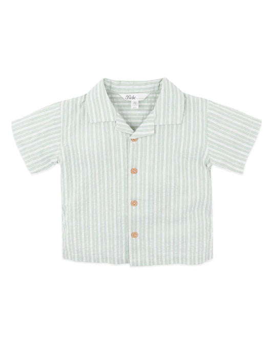 Evan Shirt - Green Stripe