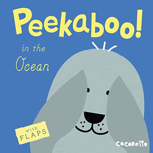 Peekaboo In The Ocean - Board Book