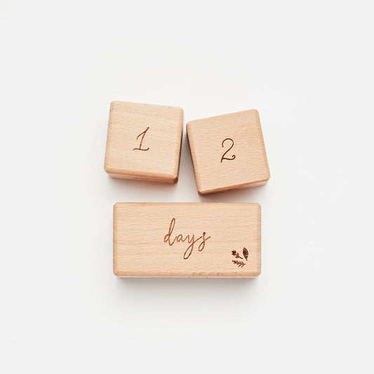 Milestone Wooden Block Set