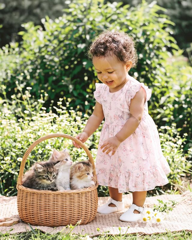 Willa Print Dress